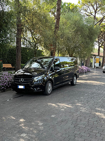 van sandro tumiotto 2